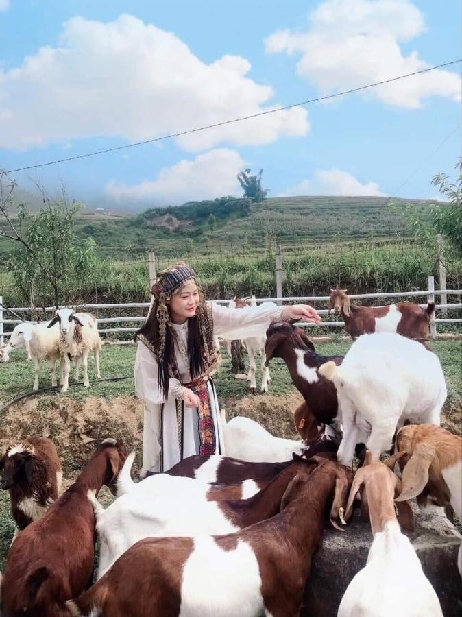 O Chau Homestay Lào Cai Extérieur photo