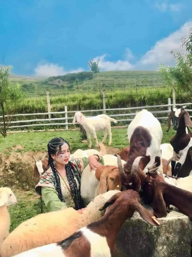 O Chau Homestay Lào Cai Extérieur photo